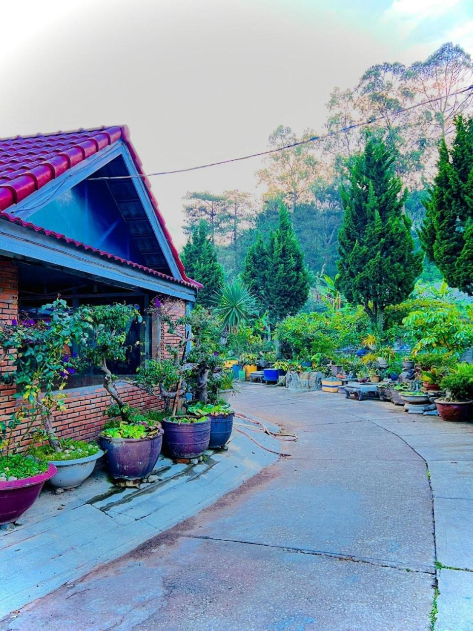Hoa Chuong - Villa - Homestay Đà Lạt Exterior foto